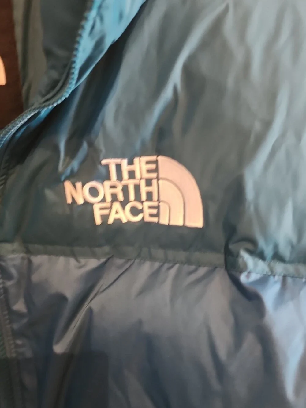 The North Face Mens Retro Blue Coral Puffer Nuptse Jacket